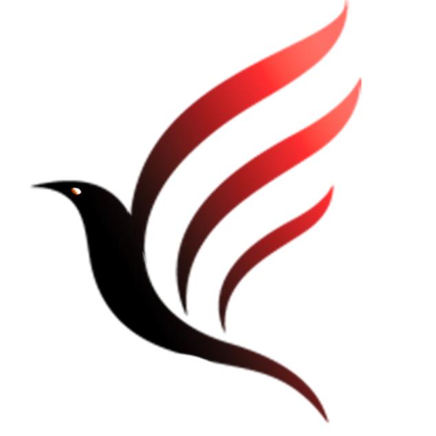 Partenaire 1